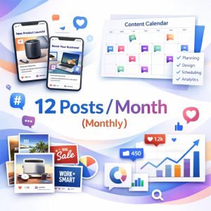 12 Posts / Month ( Monthly )